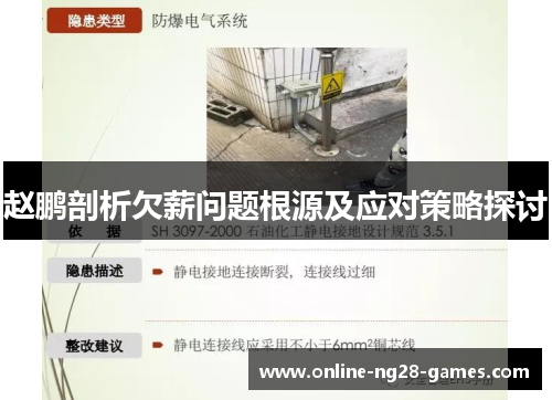 赵鹏剖析欠薪问题根源及应对策略探讨