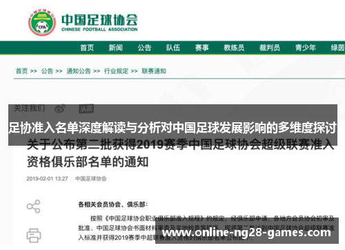 足协准入名单深度解读与分析对中国足球发展影响的多维度探讨